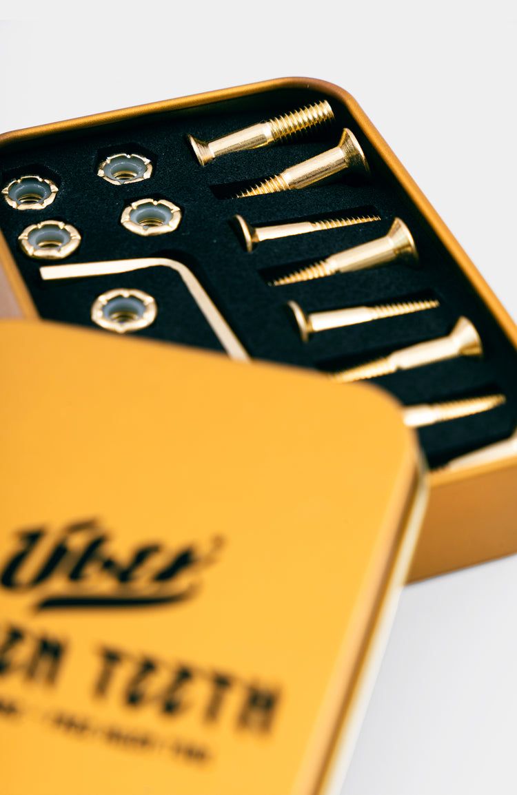 Nahaufnahme von einem goldenen montage set für skateboards. in einer goldenen Verpackung mit schwarzem inlay. der Hintergrund ist weiß