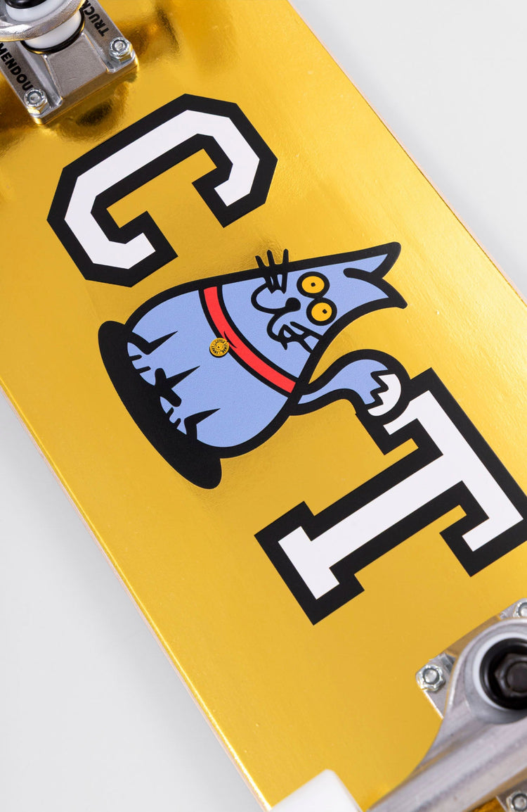 Closeup of cat skateboard graphic for kids