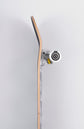 Plaid - Black, Twin Tail Skateboard Royal Complete